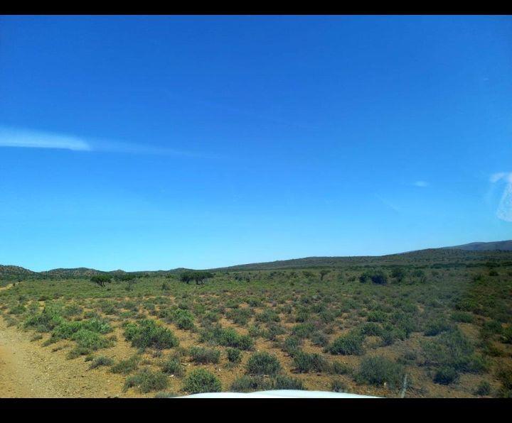 0 Bedroom Property for Sale in Willowmore Eastern Cape